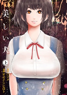 美しい犬