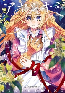 アヤシキミ