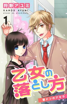 乙女の落とし方（ナンバーナイン）