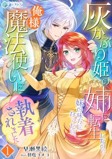 灰かぶり姫の姉に転生したので妹の味方になったら、俺様魔法使いに執着されました（アマゾナイトノベルズ）
