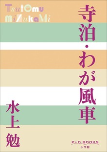 P+D BOOKS 寺泊・わが風車