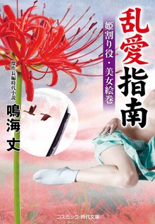 乱愛指南 姫割り役・美女絵巻