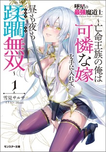 墜星の最強魔道士 ～亡命王族の俺は可憐な嫁を手に入れて、昼も夜も蹂躙無双～（ノベル）