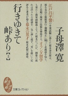 行きゆきて峠あり