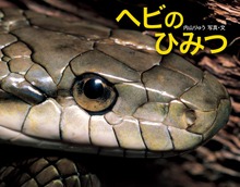 ヘビのひみつ