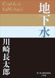P+D BOOKS 地下水