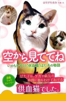 空から見ててね いのちをすくう“供血猫”ばた子の物語
