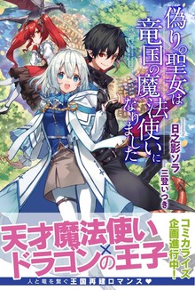 偽りの聖女は竜国の魔法使いになりました（PASH! ブックス）