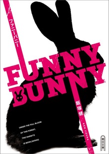 FUNNY BUNNY