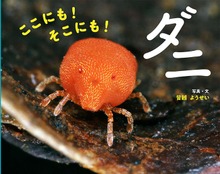 ここにも！ そこにも！ ダニ