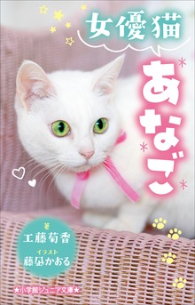 小学館ジュニア文庫 女優猫あなご
