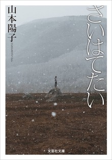 さいはてたい