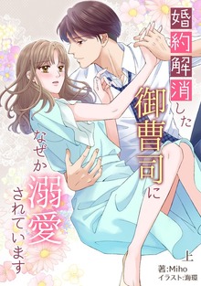 婚約解消した御曹司になぜか溺愛されています（アマゾナイトノベルズ）