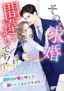 その求婚間違いです！～御曹司が姫と呼んで跪いてくるんですが！？～（アマゾナイトノベルズ）