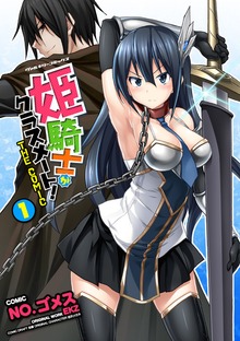 姫騎士がクラスメート！　THE COMICシリーズ
