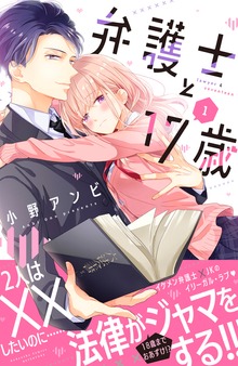 弁護士と１７歳