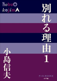 別れる理由（P+D BOOKS）