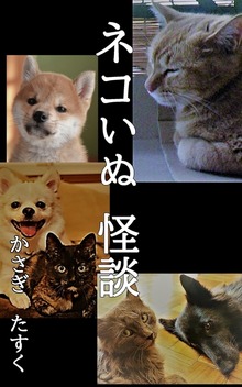 ネコいぬ怪談