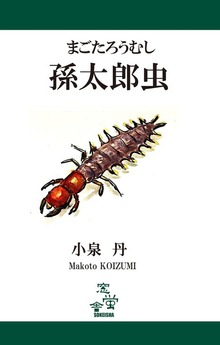 孫太郎虫