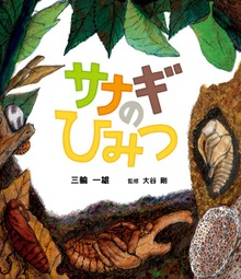 サナギのひみつ