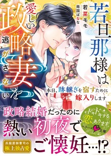 若旦那様は愛しい政略妻を逃がさない～本日、跡継ぎを宿すために嫁入りします～