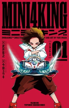 MINI4KING