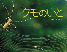 クモのいと