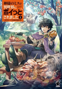神様のミスで異世界にポイっとされました ～元サラリーマンは自由を謳歌する～（MFブックス）