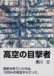 高空の目撃者