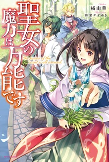 聖女の魔力は万能です（カドカワBOOKS）
