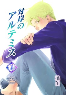 対岸のアルテミス（ナンバーナイン）