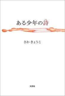 ある少年の詩