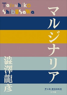 P+D BOOKS マルジナリア