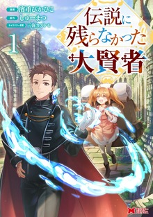 伝説に残らなかった大賢者（コミック）（モンスターコミックス）