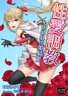 性愛調教 囚われの姫騎士
