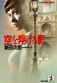 空を翔ける影