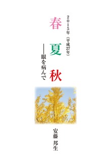 2015年春夏秋 眼を病んで