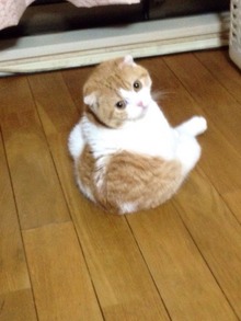 独りぼっち