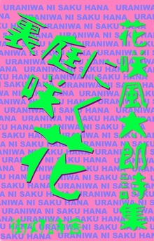 裏庭に咲く花