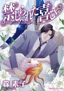 禁じられた喜び　有名小説家とひとつ屋根の下で