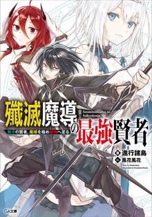 殲滅魔導の最強賢者