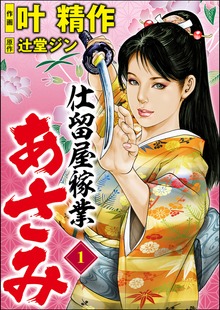 仕留屋稼業あさみ（ぶんか社コミックス）