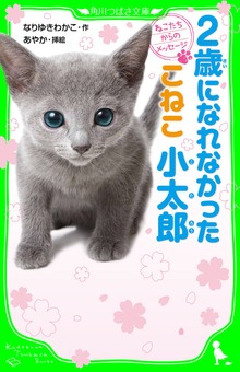 ねこたちからのメッセージ