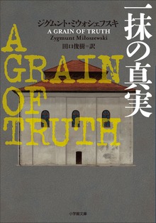 一抹の真実 ～A GRAIN OF TRUTH～