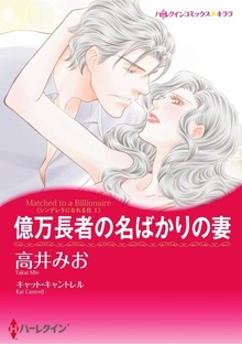 シンデレラになれる日