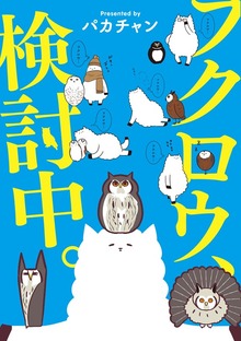フクロウ、検討中。（ナンバーナイン）