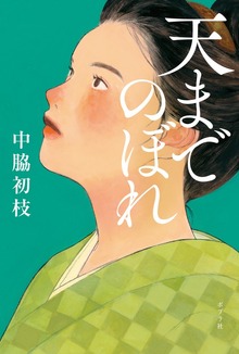 天までのぼれ
