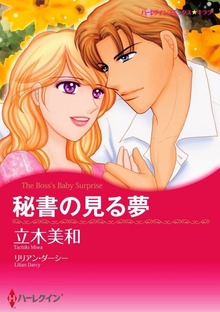 秘書の見る夢