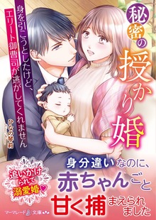 秘密の授かり婚～身を引こうとしたけど、エリート御曹司が逃がしてくれません～