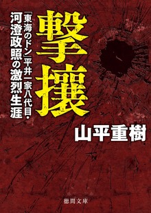 撃攘 「東海のドン」平井一家八代目・河澄政照の激烈生涯